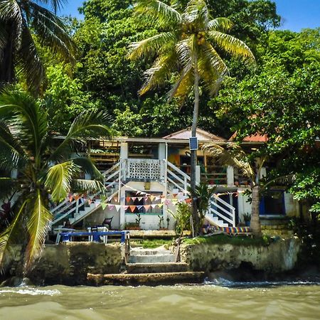 Hostal La Mariapolis เนโคคลิ ภายนอก รูปภาพ