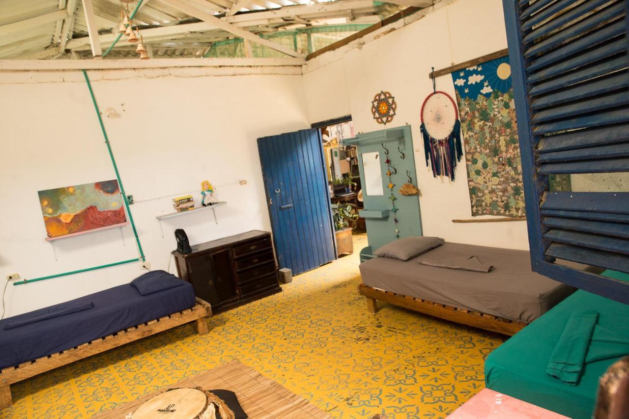Hostal La Mariapolis เนโคคลิ ภายนอก รูปภาพ