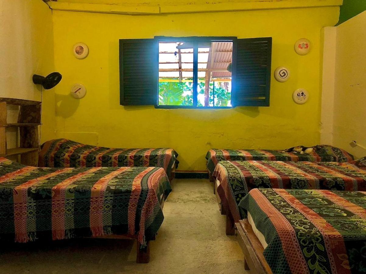 Hostal La Mariapolis เนโคคลิ ภายนอก รูปภาพ
