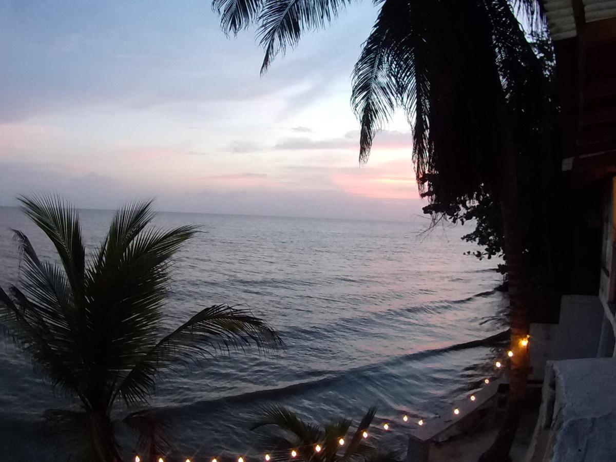 Hostal La Mariapolis เนโคคลิ ภายนอก รูปภาพ